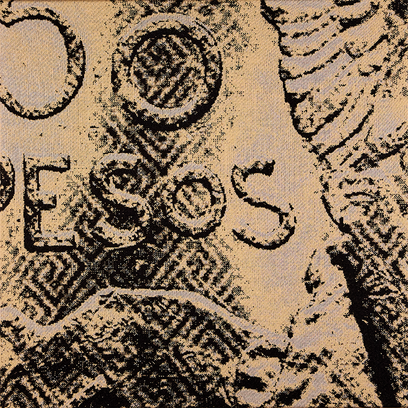 Portfolio Taxonomy Image